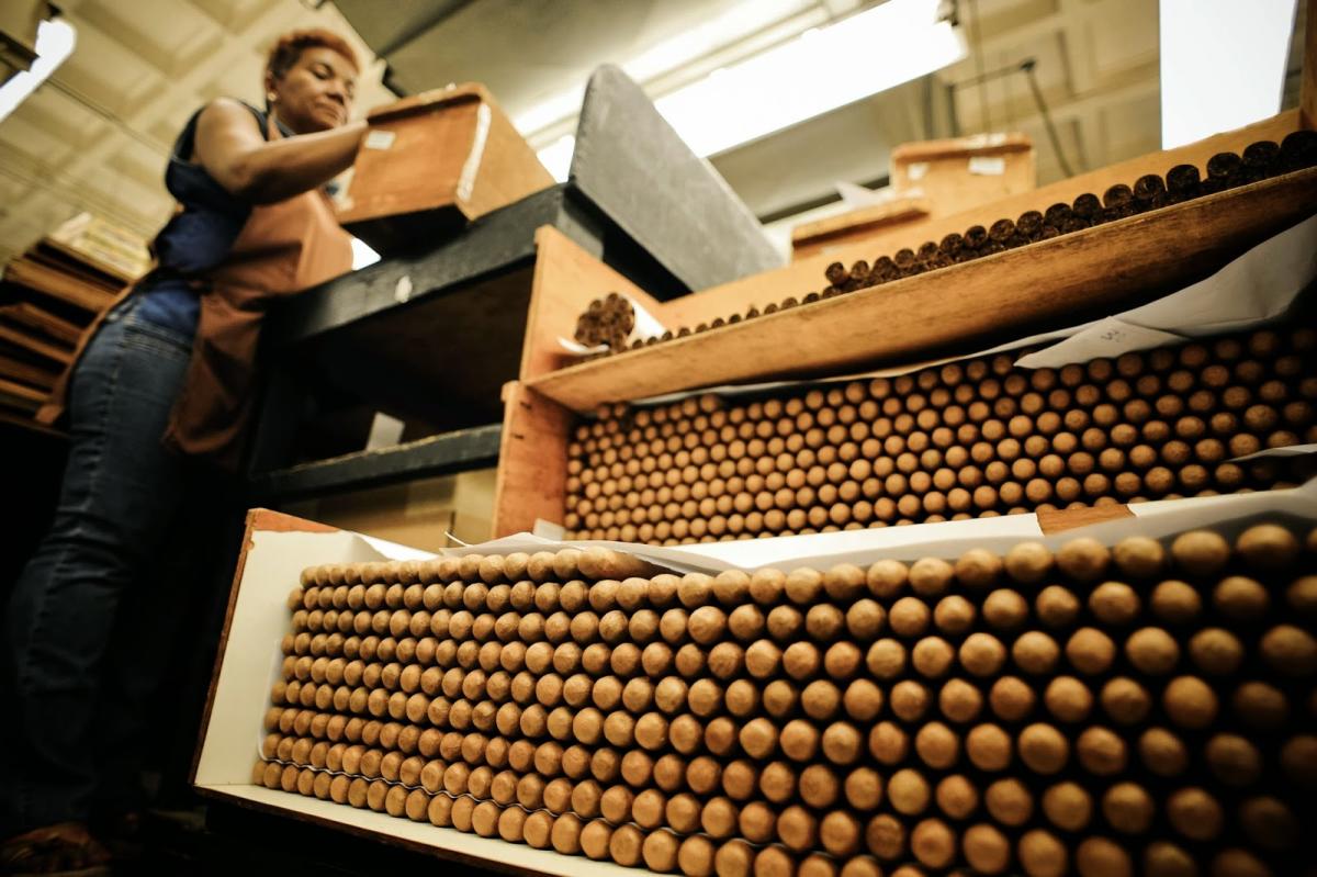 Best Cigar Factory Tours in the Dominican Republic