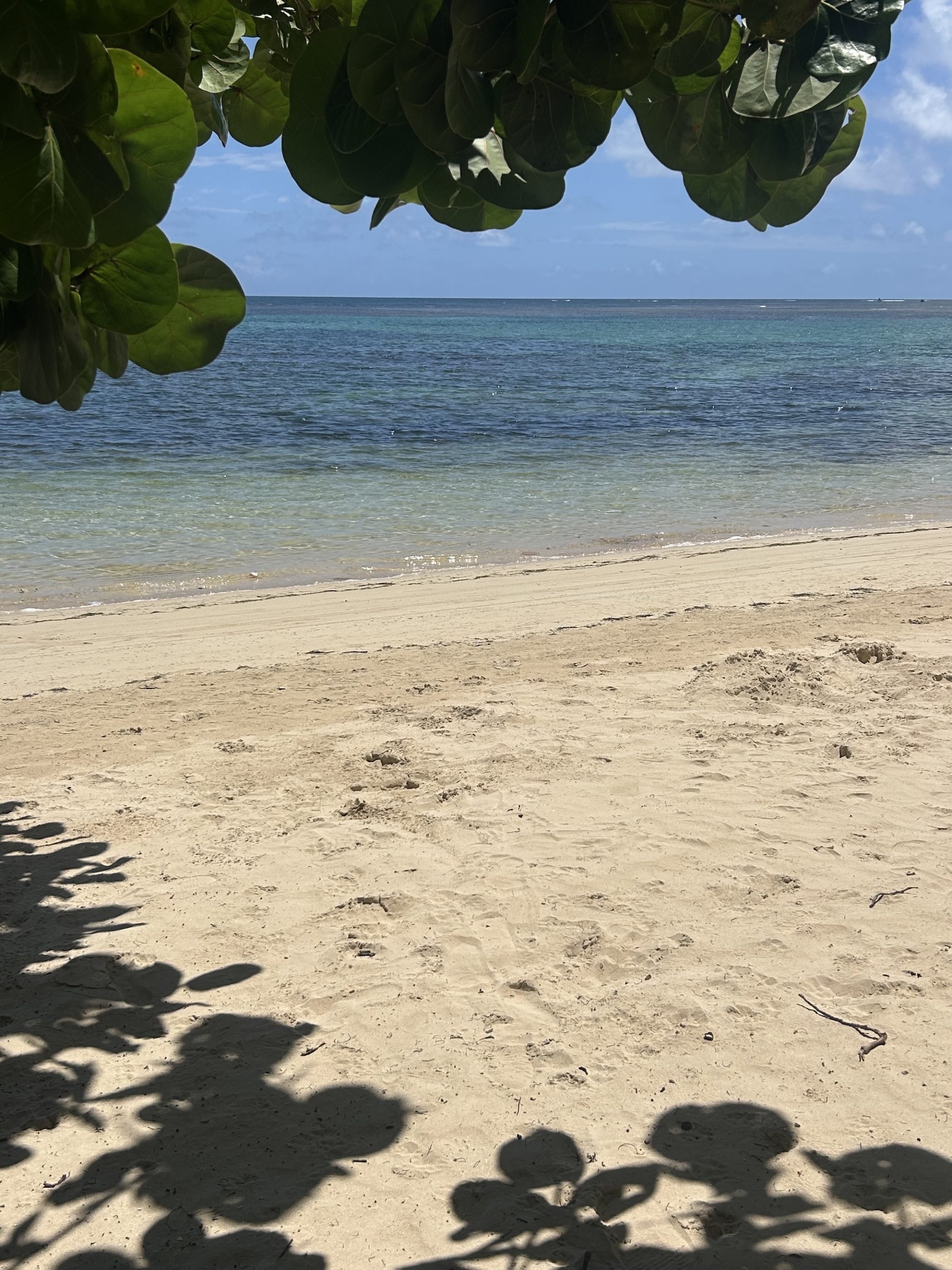 A Weekend Itinerary for Samaná: Beaches, Waterfalls, and Local Eats